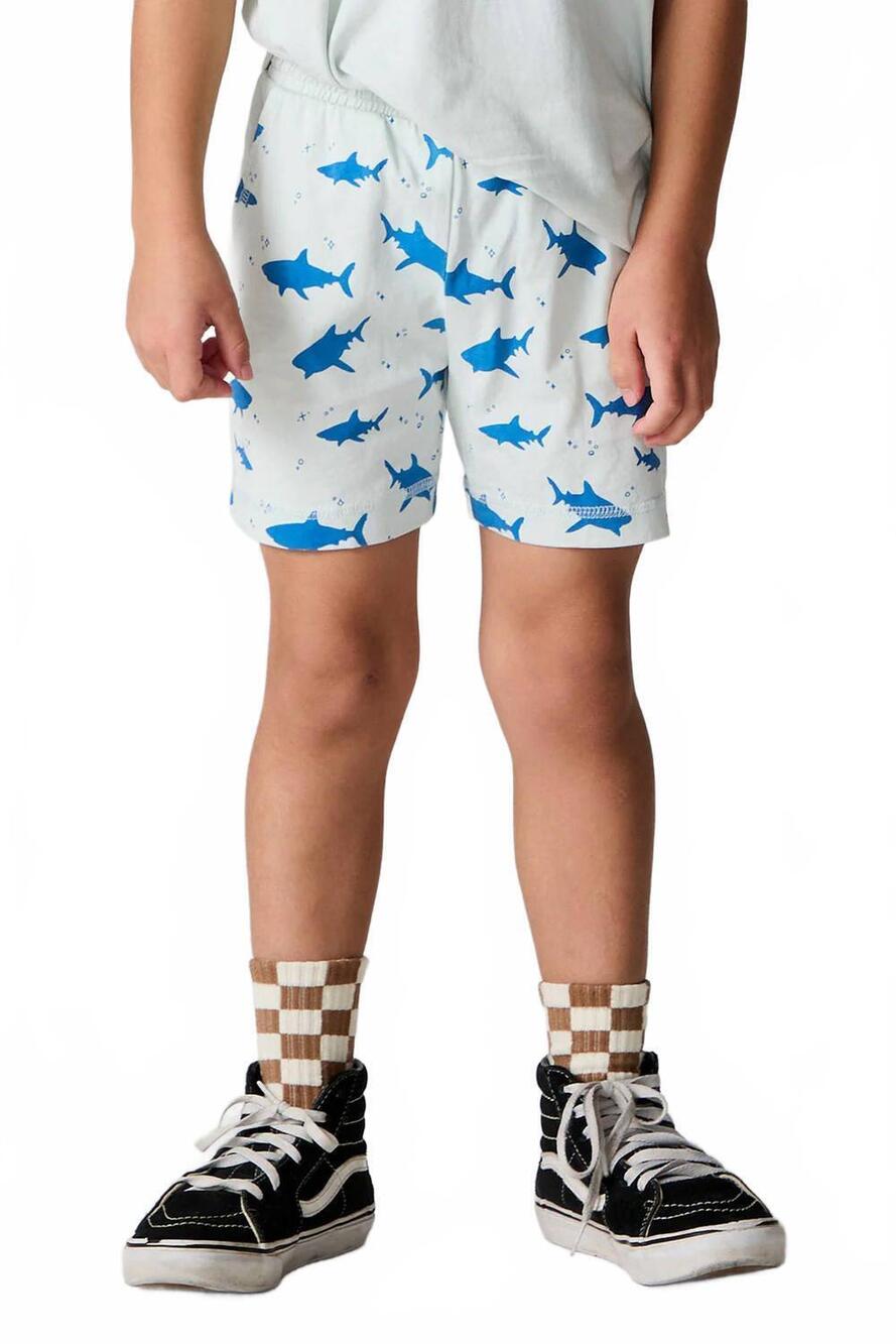 NEW CHASER boys veil shark around short in silver